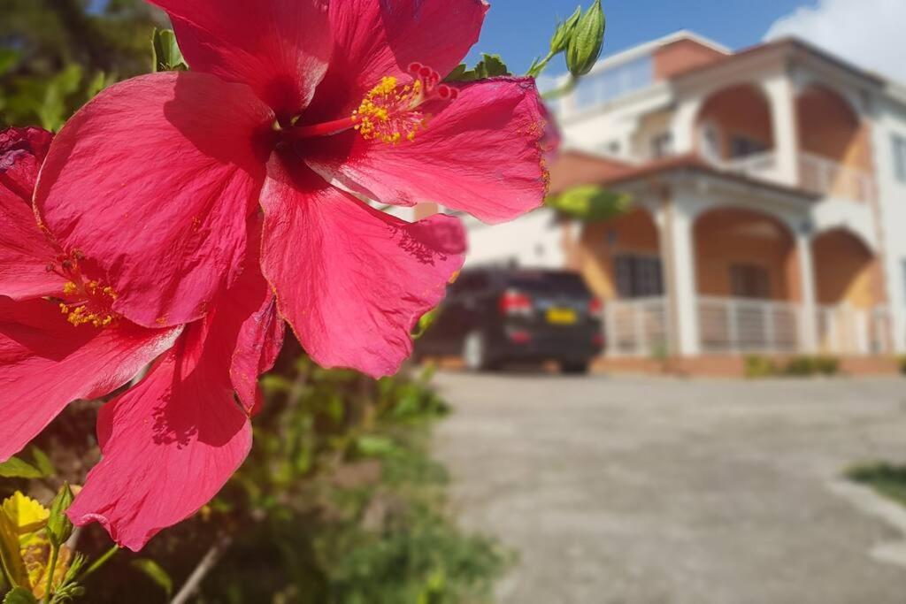 St. George'S Holiday Studio Vacation Of A Lifetime Fontenoy 外观 照片